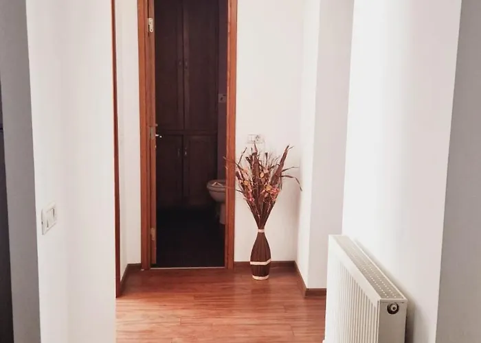 The Mountain View Апартаменти Брашов